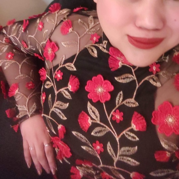 High Neck Embroidered Dress (Plus) - Picture 6 of 6